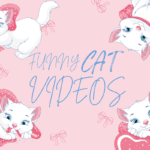 FUNNY CAT VIDEOS