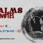 Psalms Quotes 250+ Most Popular Psalm Verses in the Bible