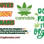 Quotes About Cannabis