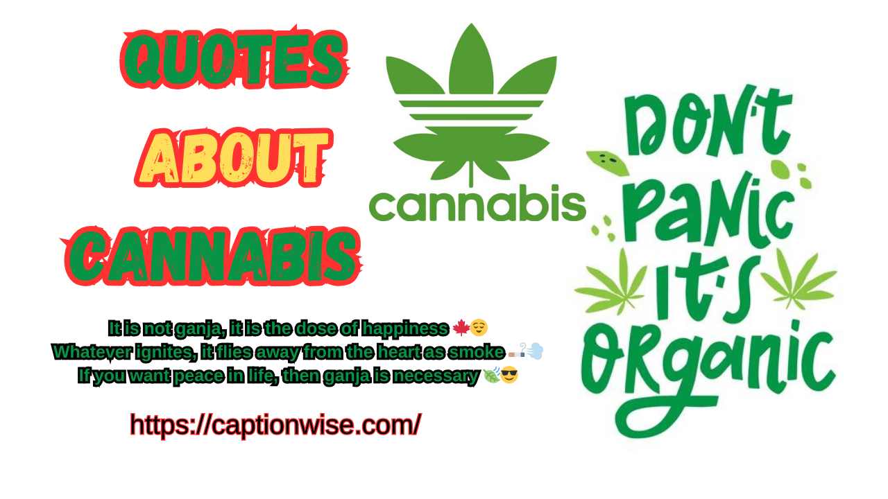 Quotes About Cannabis