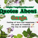 Quotes About Ganja