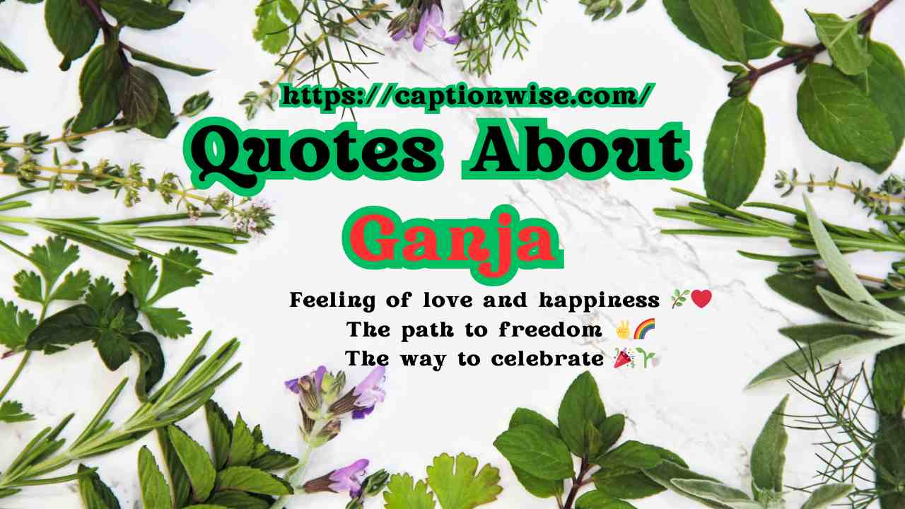 Quotes About Ganja