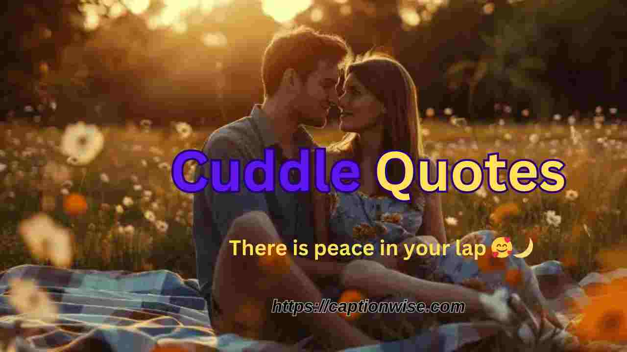 Cuddle Quotes