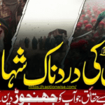 Karbala Captions